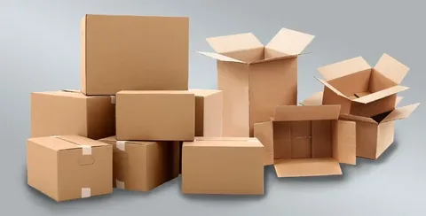 largest cardboard box manufacturers